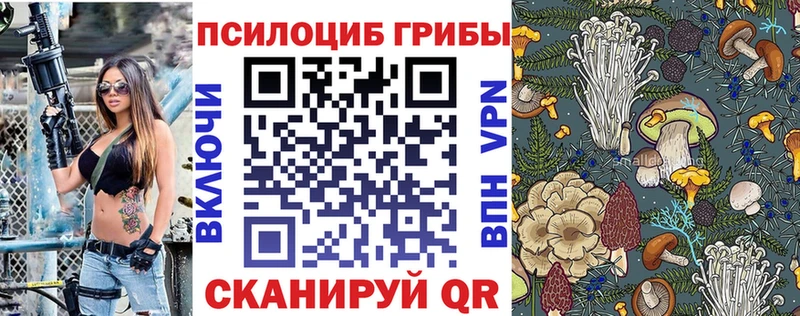 Купить  Кировск  Псилоцибиновые грибы MAGIC MUSHROOMS 